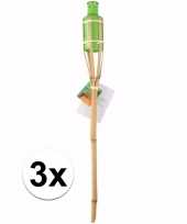 3 bamboe tuinfakkels groen 60 cm