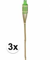 3x bamboe tuinfakkel groen 65 cm