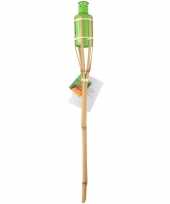 Bamboe tuinfakkel groen 60 cm