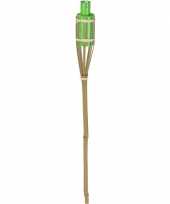 Bamboe tuinfakkel groen 65 cm